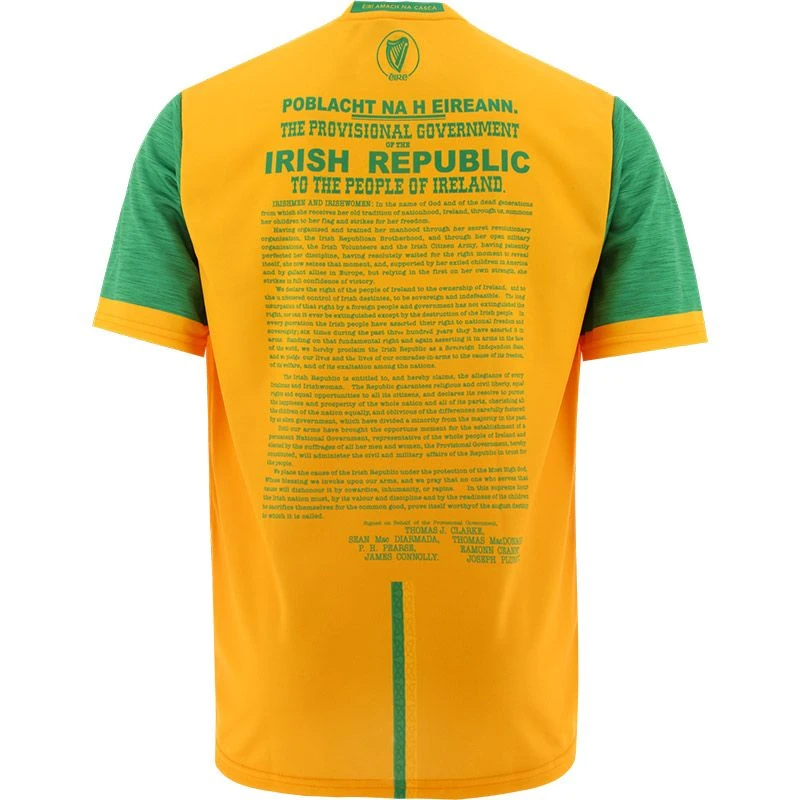 Donegal Kids' 1916 Remastered Jersey - Image 2