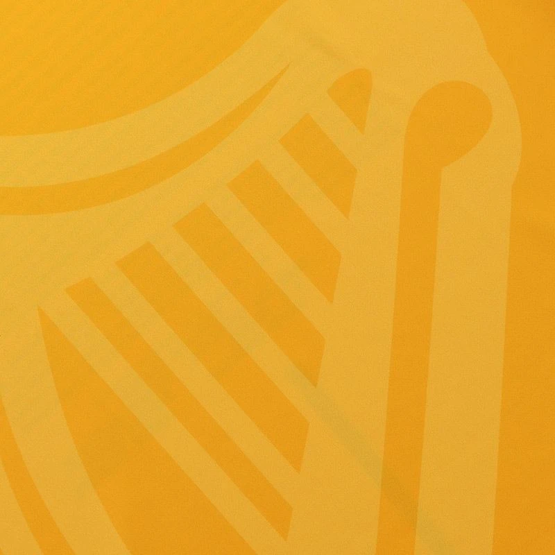 Donegal Player Fit 1916 Remastered Jersey - Image 7