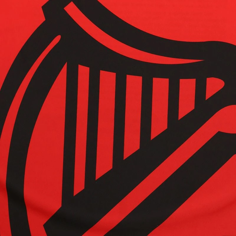 Down Player Fit 1916 Remastered Jersey - Image 7